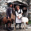 Peter et Heidi s'apprêtent à monter les chèvres à l'alpage